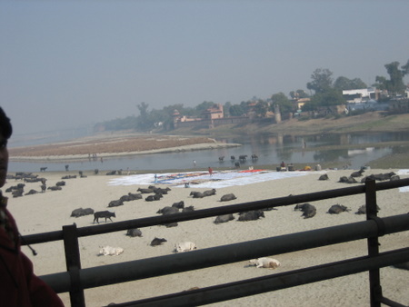 Pont d'Agra